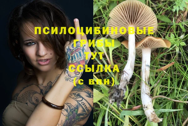 а пвп мука Алзамай