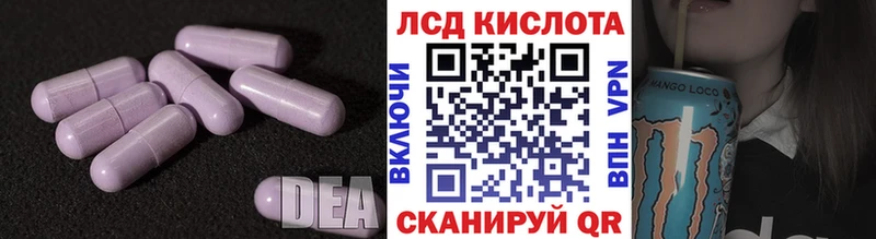kraken как войти  Липки  Лсд 25 экстази кислота  продажа наркотиков 